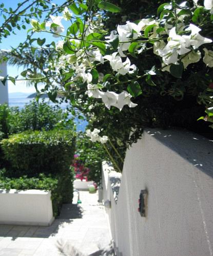 Luxury villas in Marathon Greece.